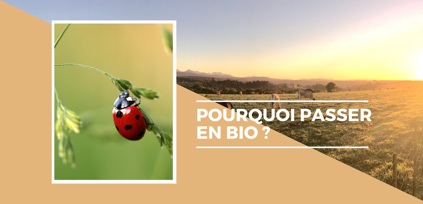 Pourquoi passer en Bio ? 