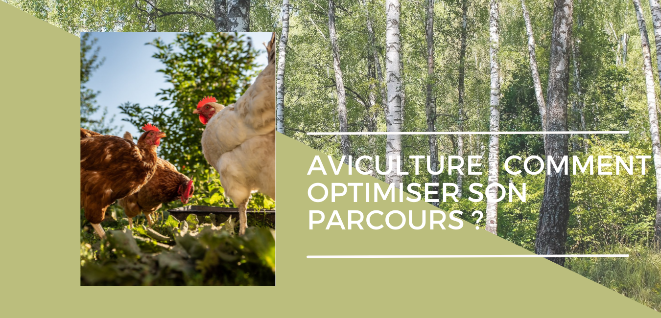 Aviculture : comment optimiser les parcours ? 