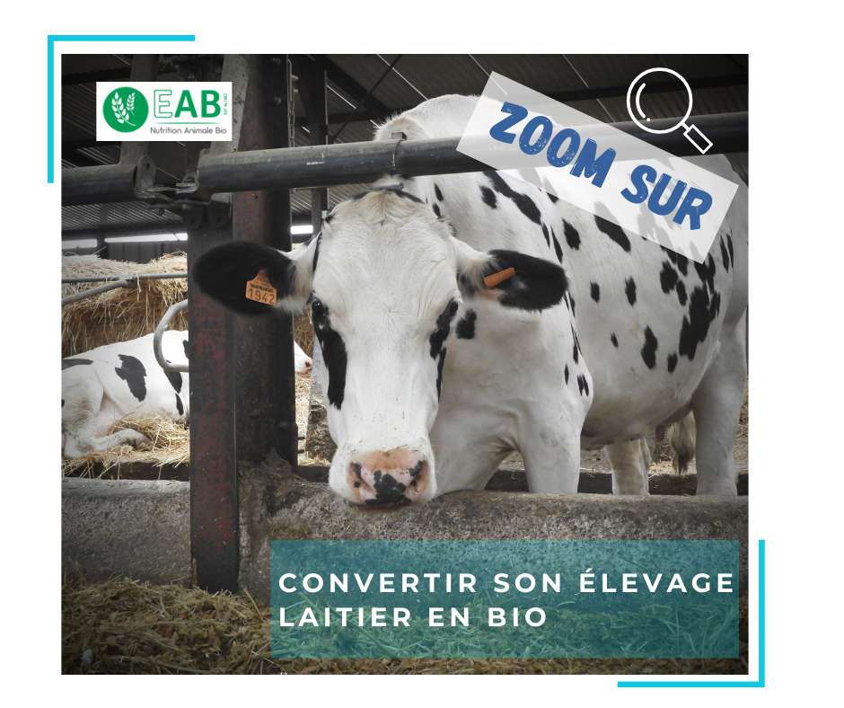 levage laitier en bio